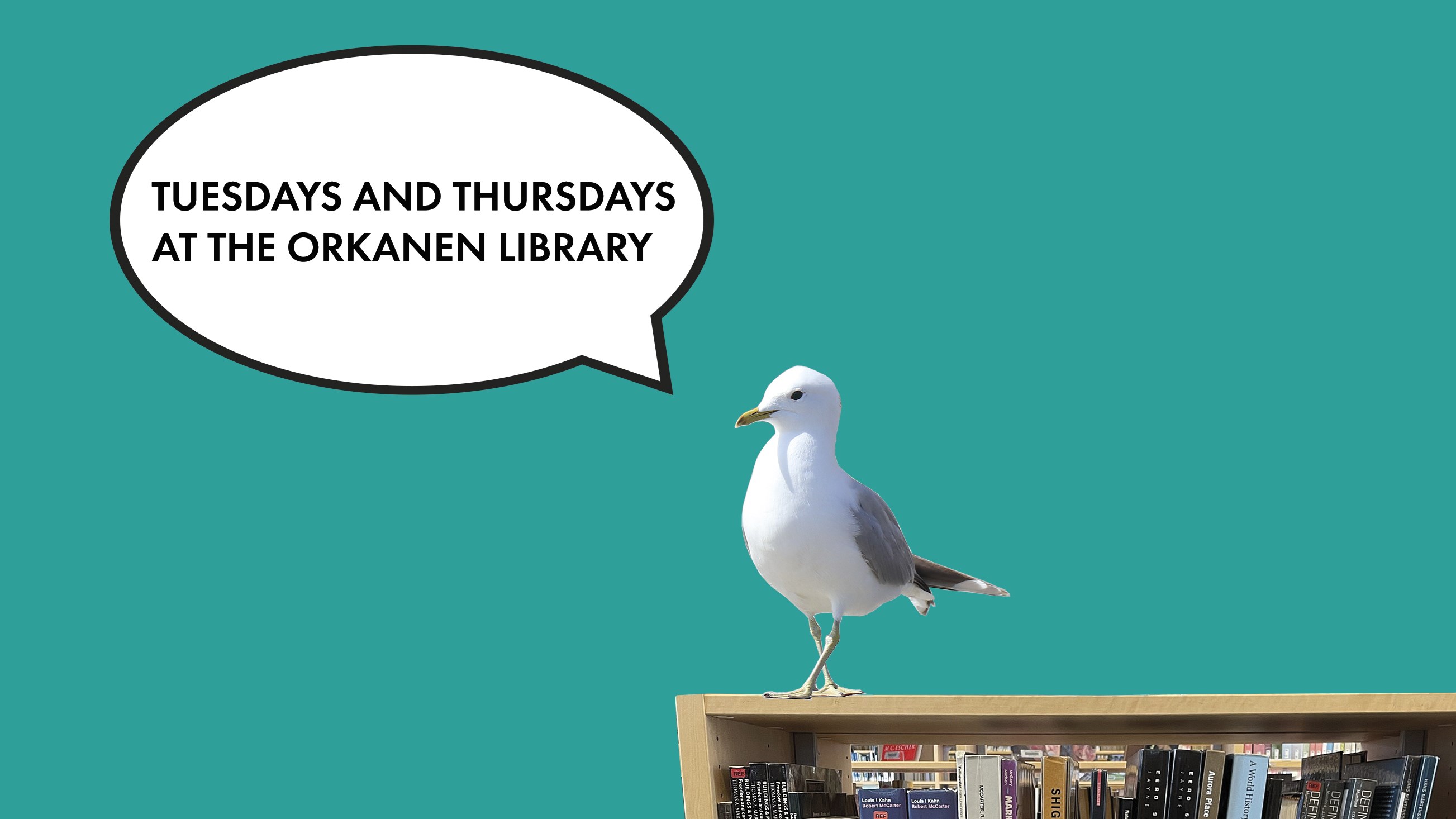 Tuesdays and thursdays at the Orkanen Library
