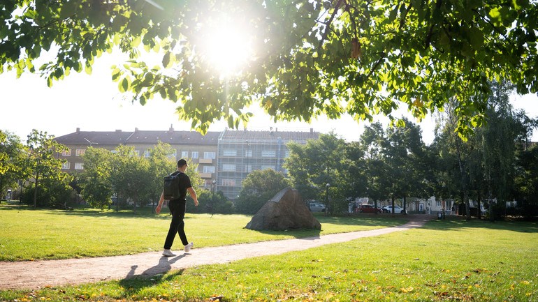 En person som går längs en stig i en park.