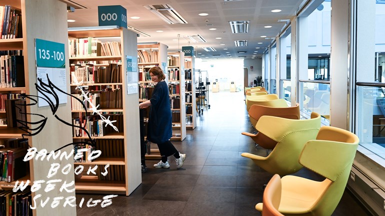 Libraries and Democracy