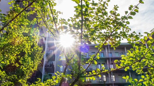 Fasader på bostadshus med träd i bakgrunden.