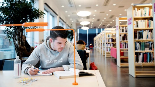 tyst zoon, eget arbete, läsning