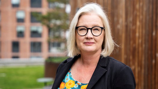 Malin IdelandProfessorFakulteten för lärande och samhälleInstitutionen för barndom-utbildning-samhälleForskar i EtnologiUtbildningsvetenskapBarn- och ungdomsvetenskapHållbarhetsstudier