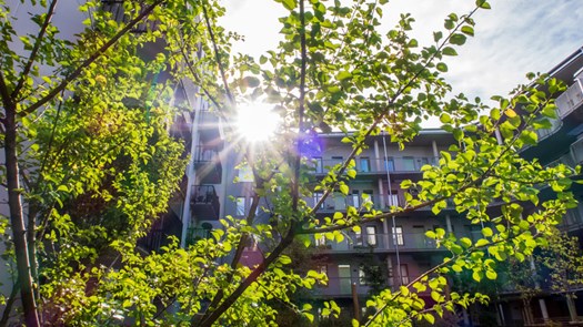 Fasader på bostadshus med träd i bakgrunden.