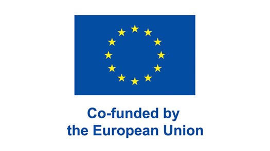 EU-flagga