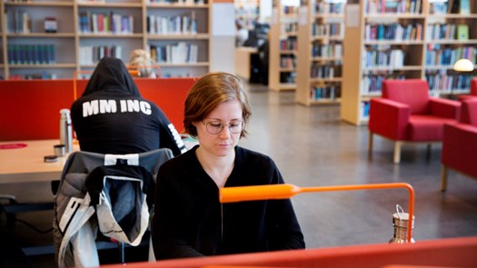 Studenter som pluggar i tysta zonen