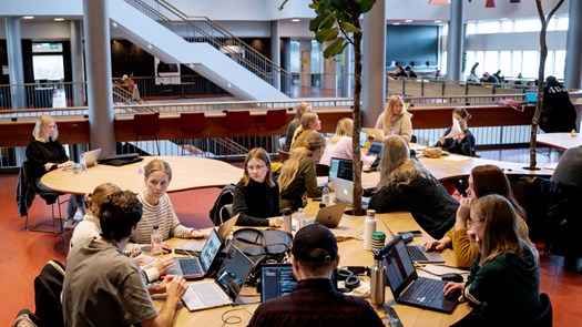 Studenter pluggar runt stort bord