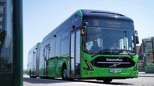 Green bus.