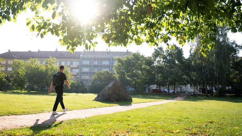 En person som går längs en stig i en park.