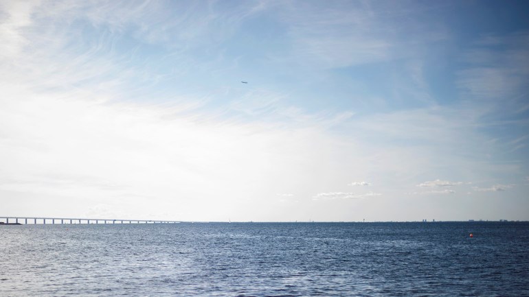 Människor badar i havet vid Ribersborg. I bakgrunden syns öresundsbron.