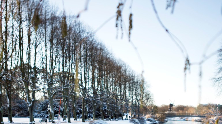 Slottsparken i vinterskrud.