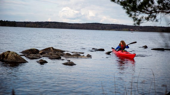 Paddling i naturen.