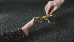 En heldag om svensk familjeåterförening i teori och praktik