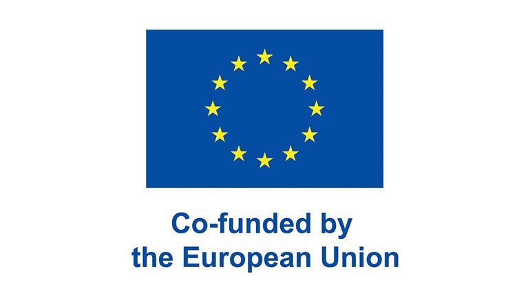 EU-flag