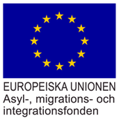 eu-ami-fond_arial_webb.png