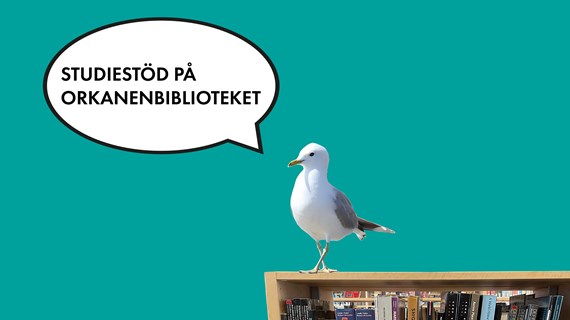Studiestöd på Orkanenbiblioteket