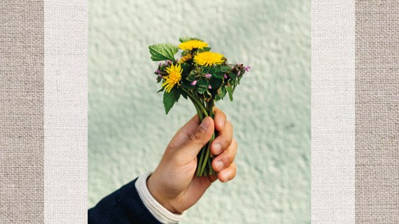 Hand håller upp en bukett med ogräs.