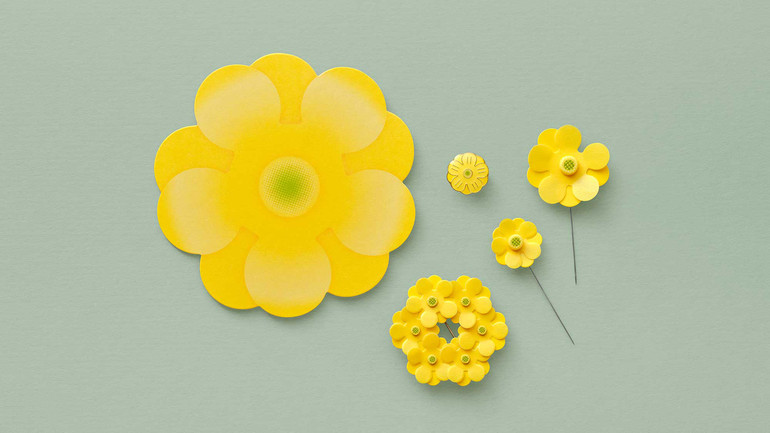 Olika typer av gula majblommor